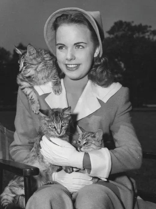 Terry Moore