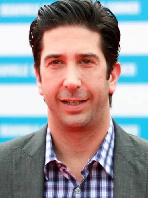 David Schwimmer