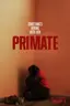 Primate
