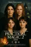 Practical Magic 2