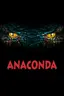 Anaconda