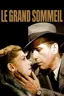 Le grand sommeil