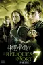 Harry Potter et les Reliques de la Mort : partie 1