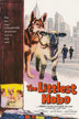 the littlest hobo