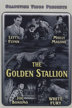 the golden stallion