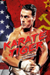karaté tiger
