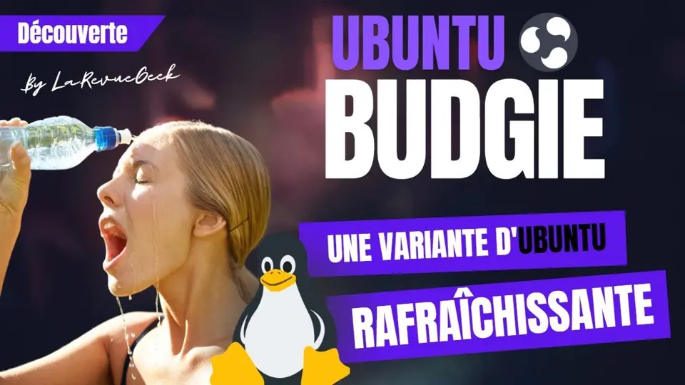 Découverte de Ubuntu Budgie : la variante d'Ubuntu rafraichissante ! 😎