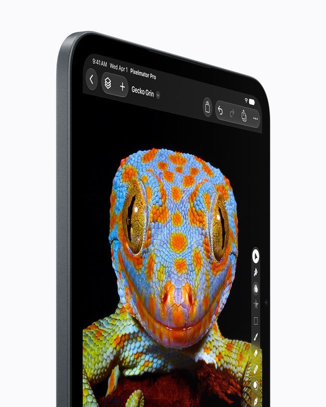 Visuel officiel de l’écran OLED de l’iPad mini affichant un gecko.